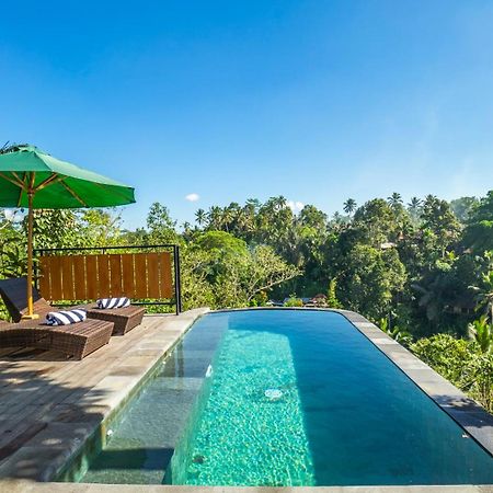 Anja Villas Ubud テガララン エクステリア 写真