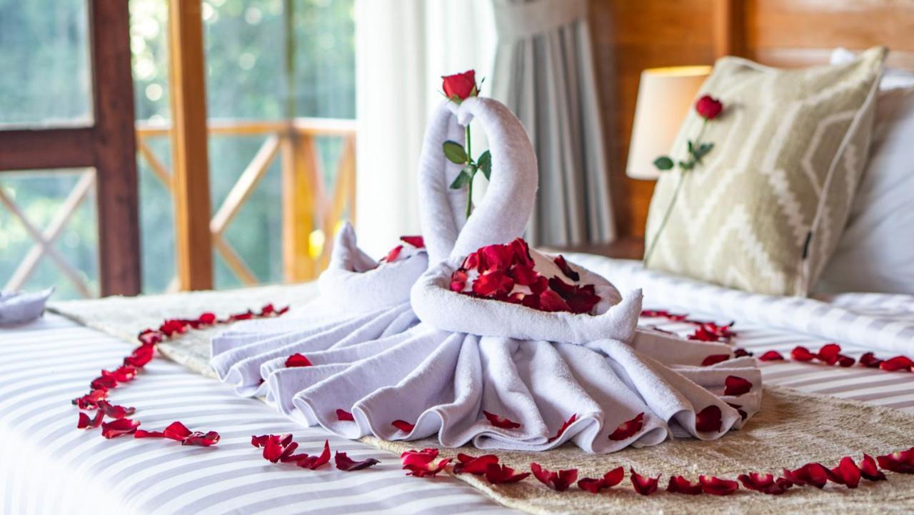Anja Villas Ubud テガララン エクステリア 写真