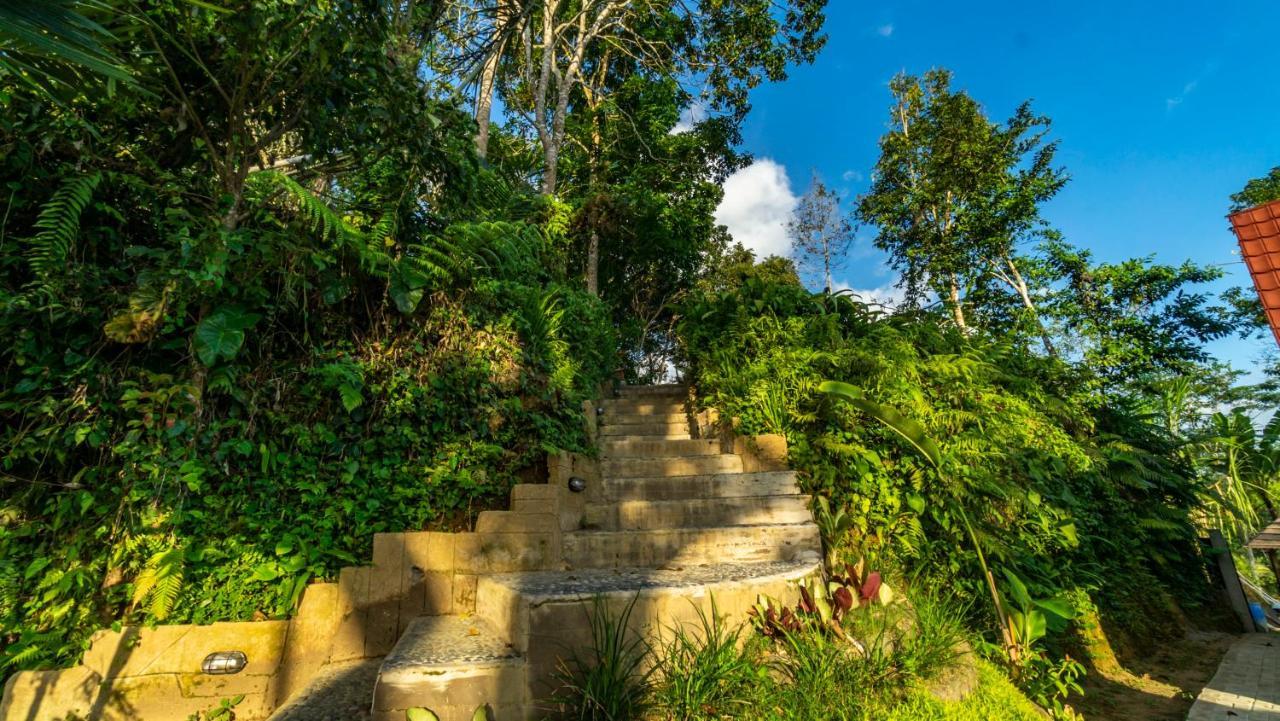 Anja Villas Ubud テガララン エクステリア 写真